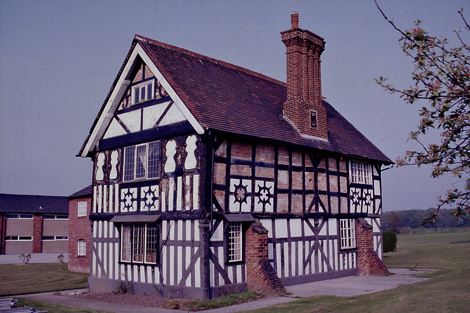 1988-Yew-Tree